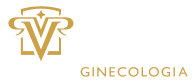 Logotipo VicenteRocco Svg